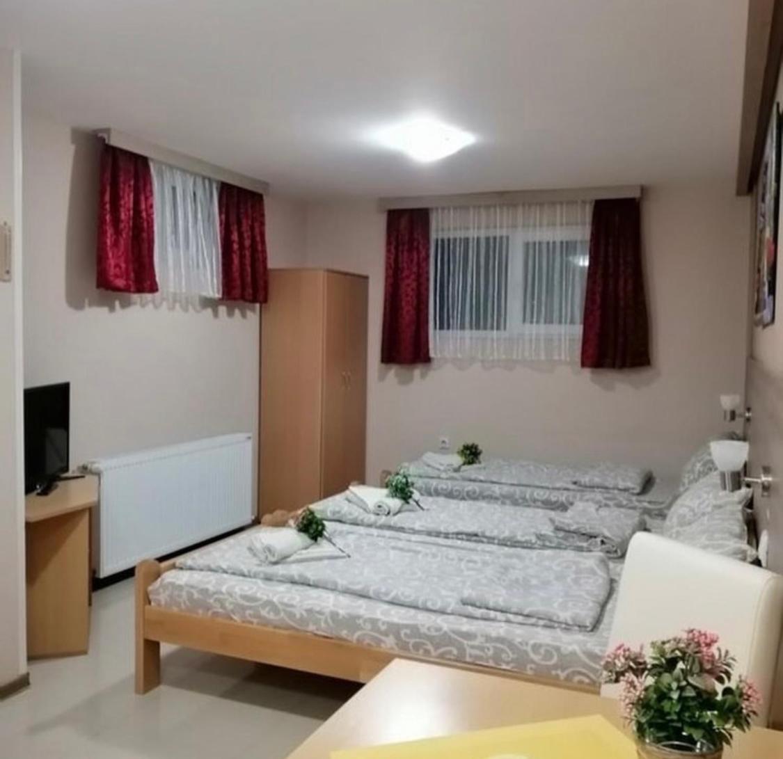 Konak Vila Mirkovic Soko Banja Exterior foto